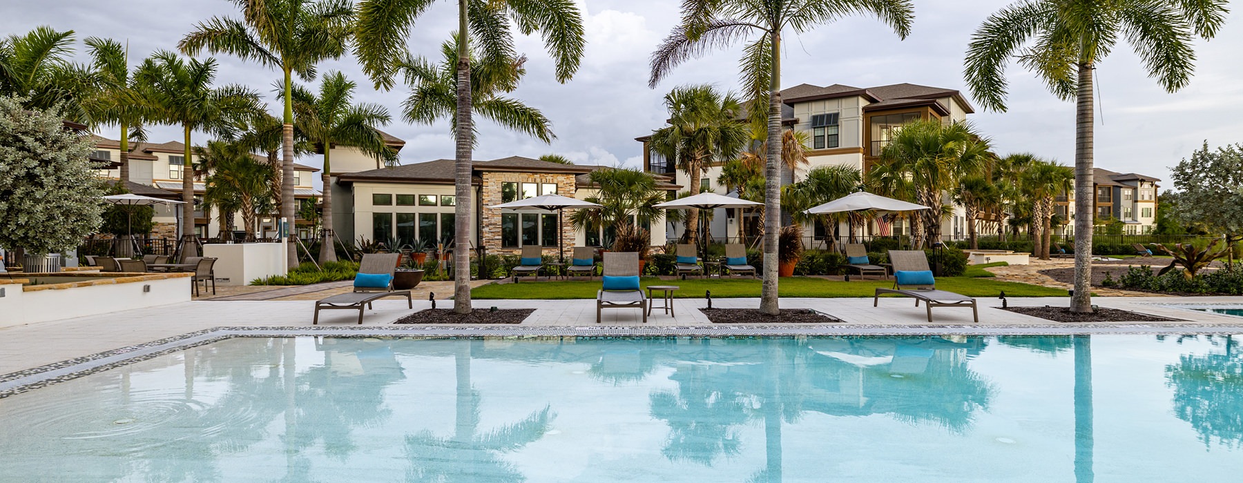 Modern zero-entry pool with surrounding palm trees at Ridgelake Apartments in Sarasota, FL