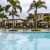 Pool with palm trees, lounge chairs and community in the background located in Sarasota, FL